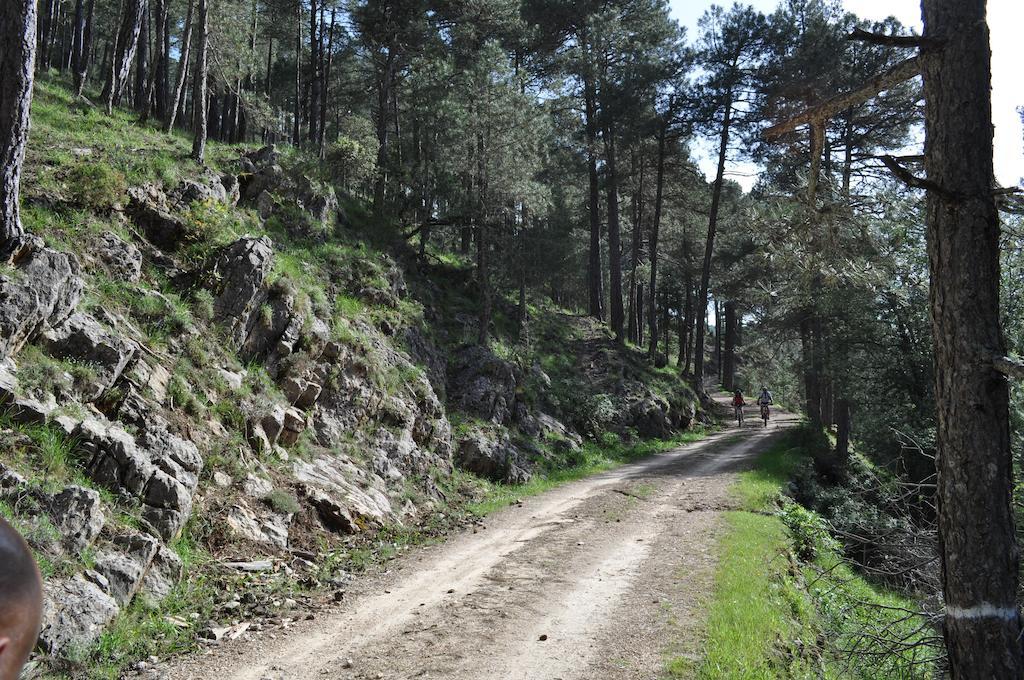 Nidos De Santa Maria Arroyo Frio